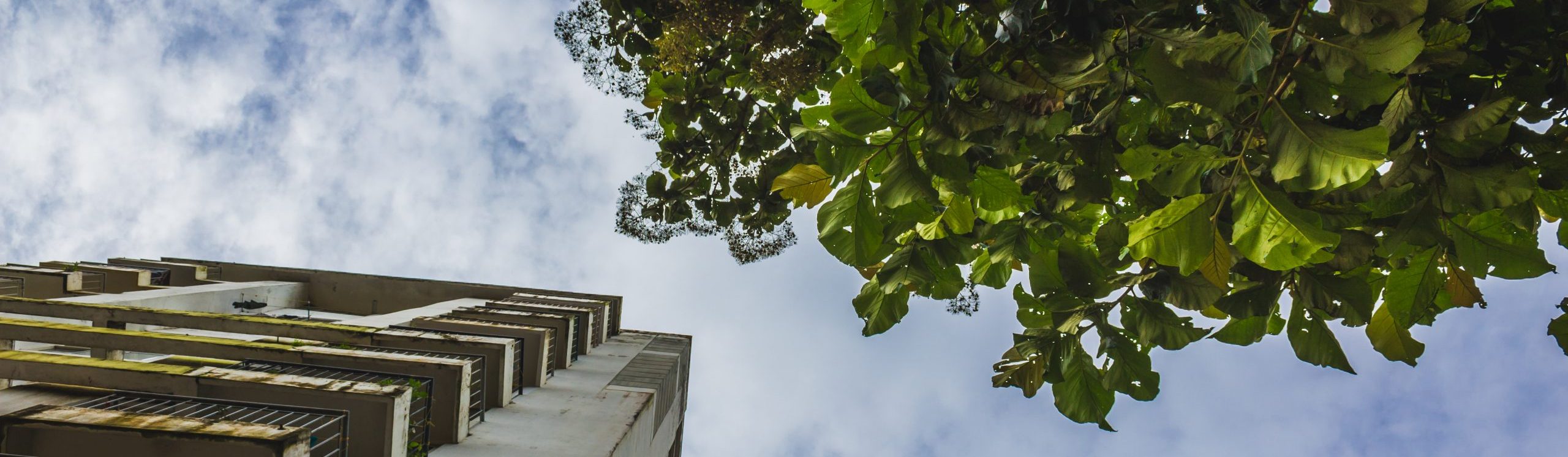 sostenibilidad ecologia